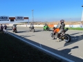 STARTING GRID